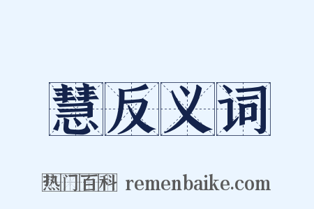 慧反义词是什么意思的图片